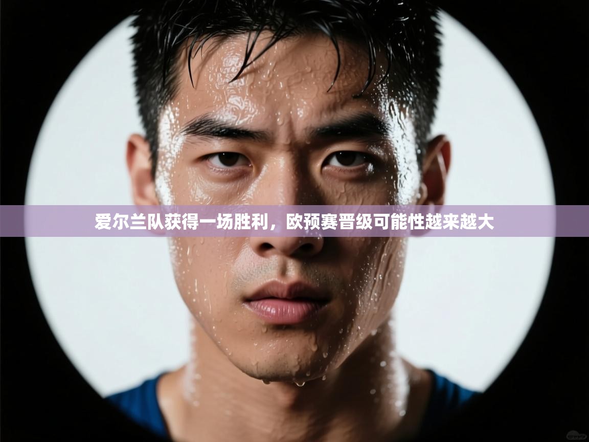 爱尔兰队获得一场胜利，欧预赛晋级可能性越来越大  第2张