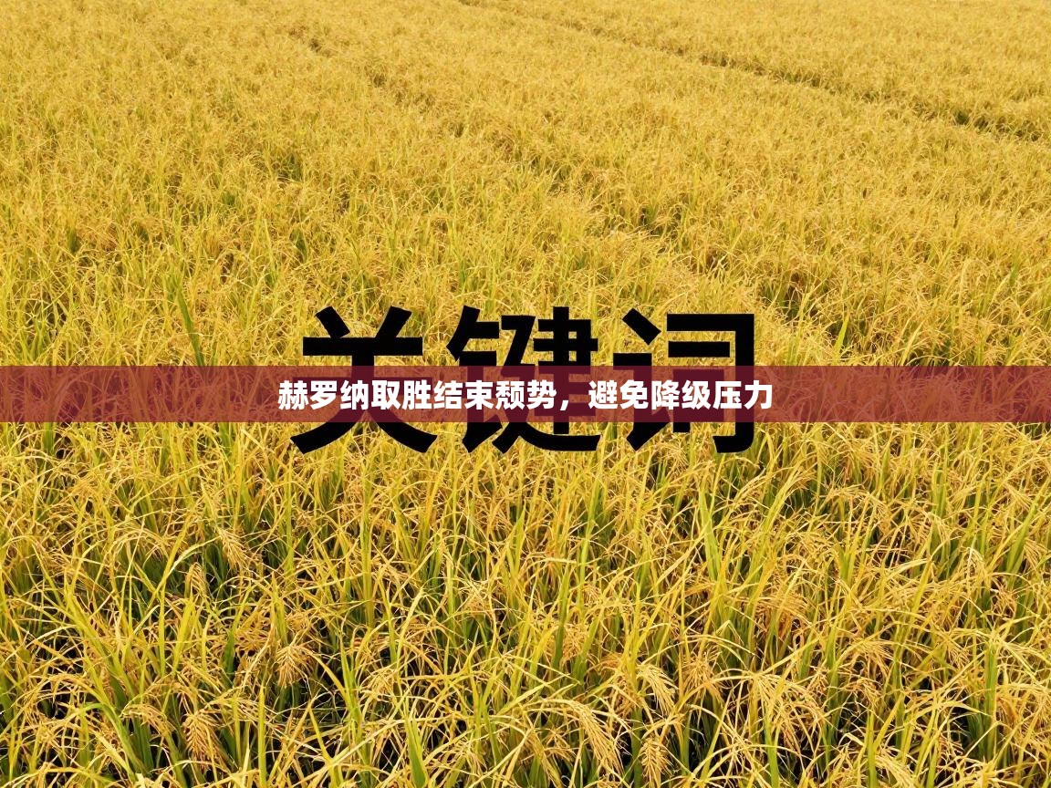 赫罗纳取胜结束颓势，避免降级压力  第2张