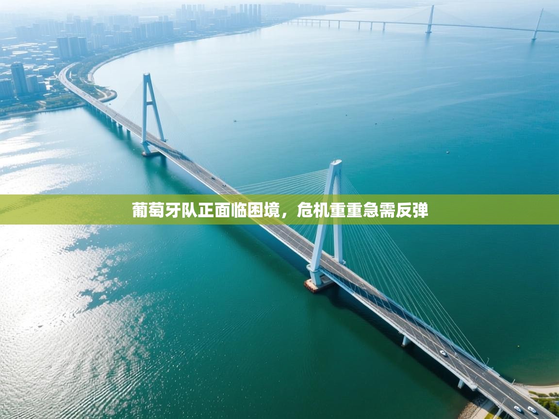 葡萄牙队正面临困境,危机重重急需反弹 第1张