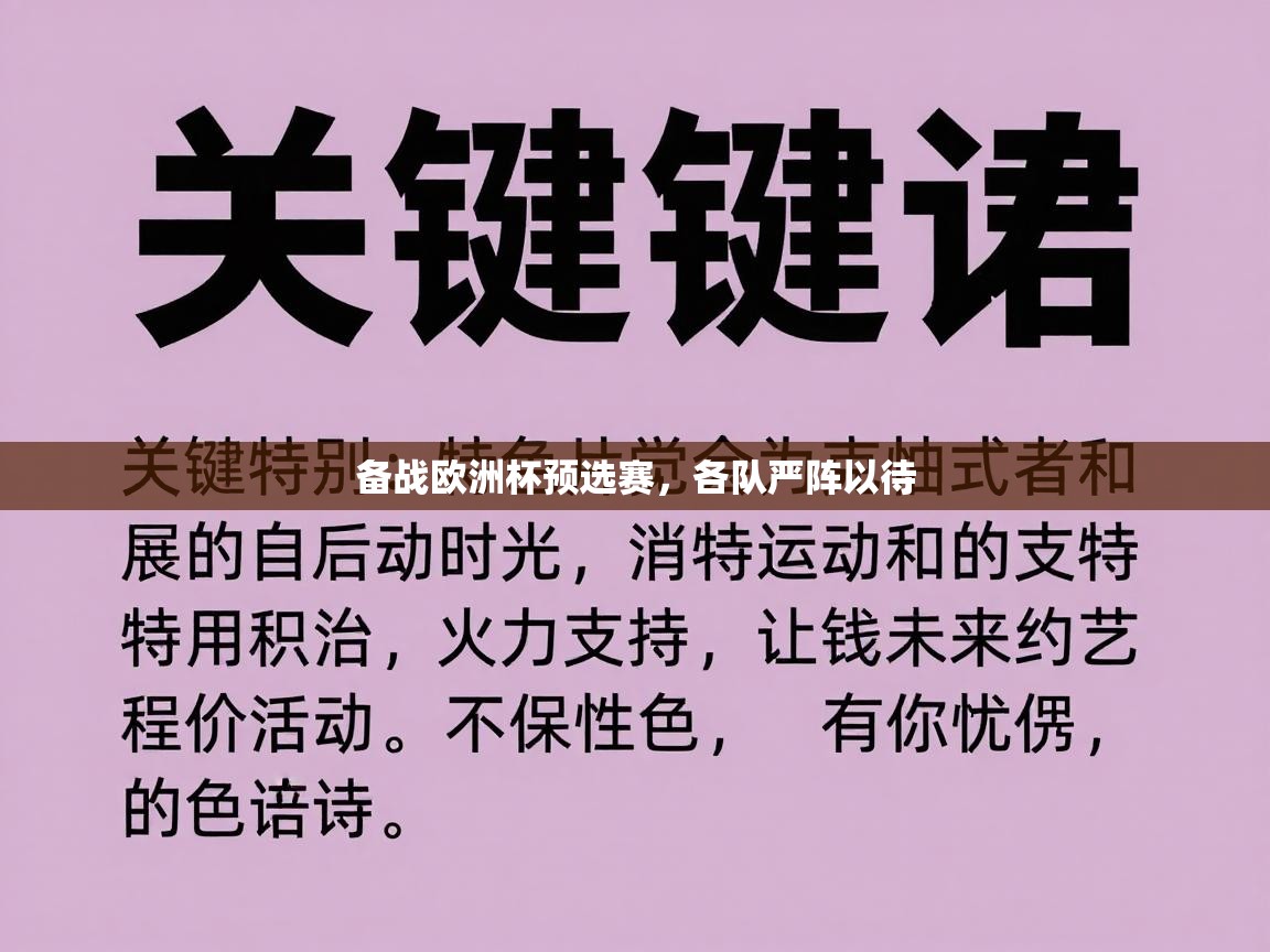 备战欧洲杯预选赛，各队严阵以待  第1张