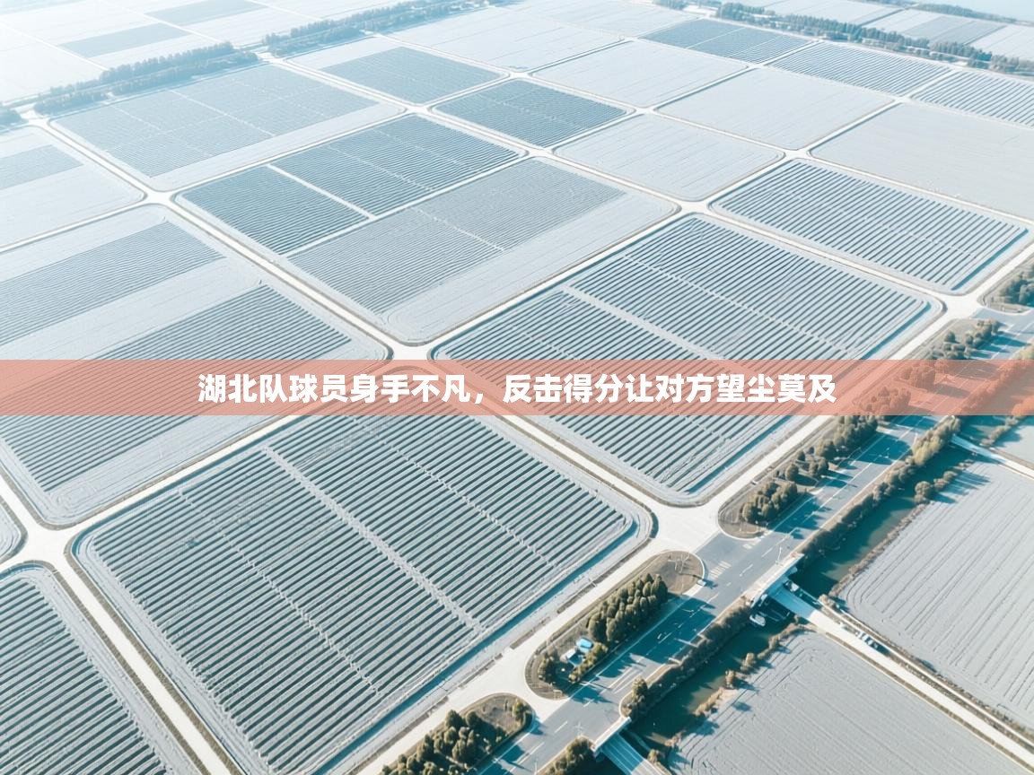 湖北队球员身手不凡，反击得分让对方望尘莫及  第1张