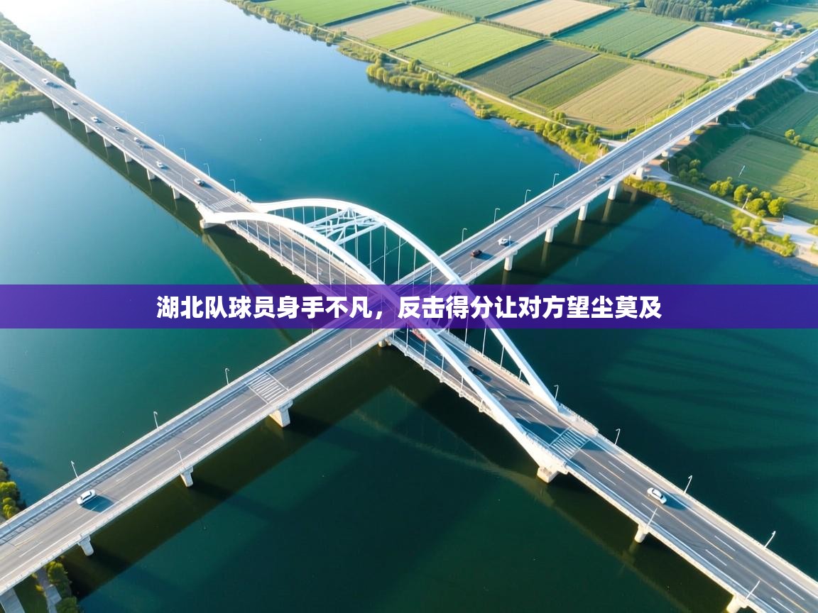 湖北队球员身手不凡，反击得分让对方望尘莫及  第2张